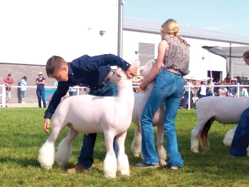 2022 Wyoming State Fair 4H results The Saratoga Sun